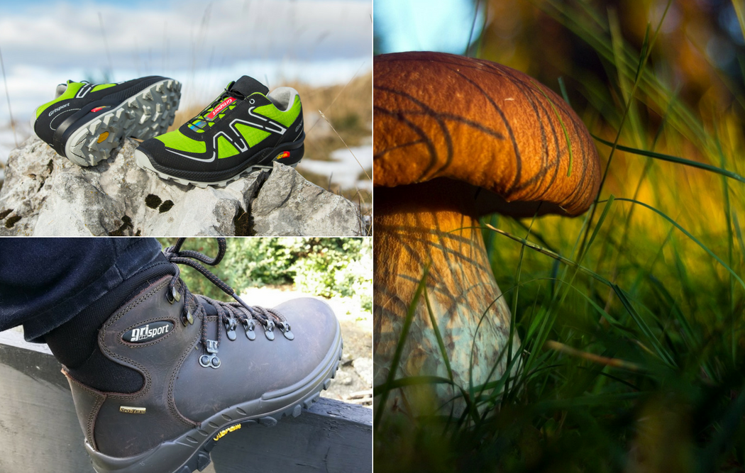 Осень - время сбора грибов: 5 советов по выбору обуви для безопасного похода в лес