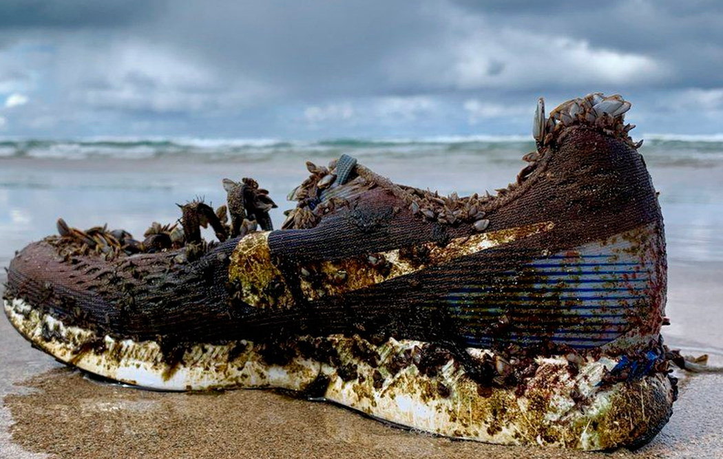 Нашлась потеря: почему на пляжах всего мира находят  обувь Nike
