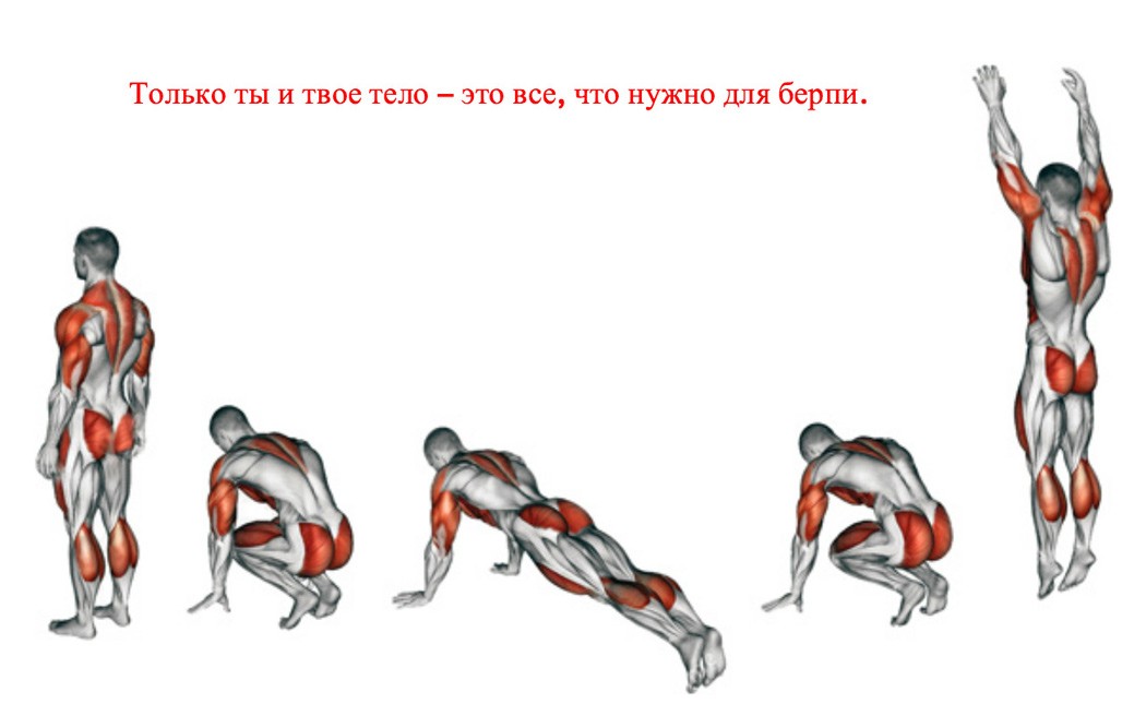 Берпи: упражнение, сжигающее калории со скоростью света - 2 | mebo.com.ua