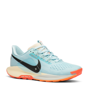 Кроссовки Nike Pegasus Trail 5 DV3864-400