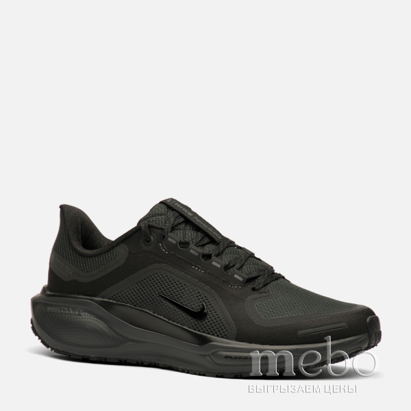Кроссовки Nike Pegasus 41 GORE-TEX Black Anthracite FQ1356-001: мужские Кросівки